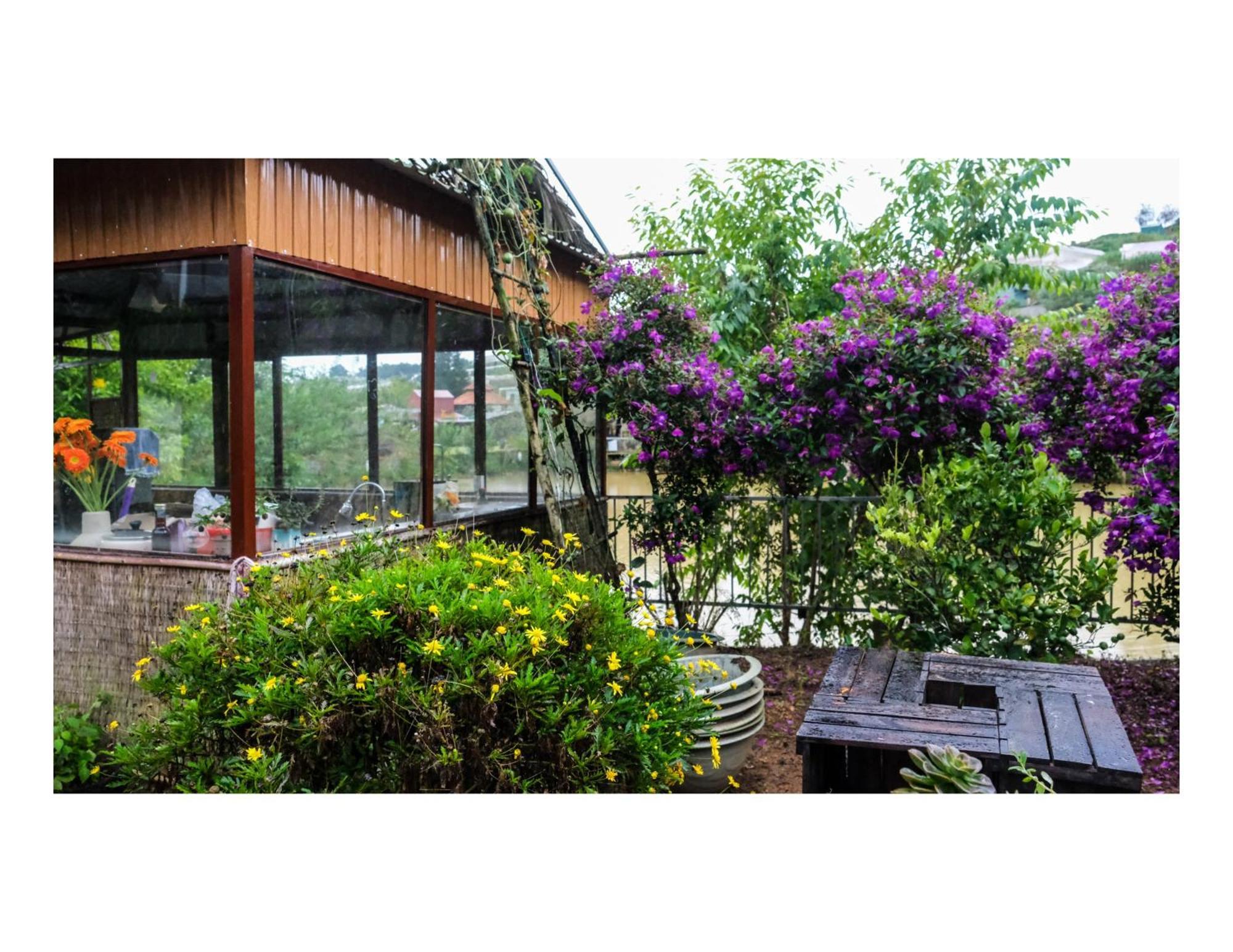 Nha Ben Ho - Da Lat Homestay Εξωτερικό φωτογραφία