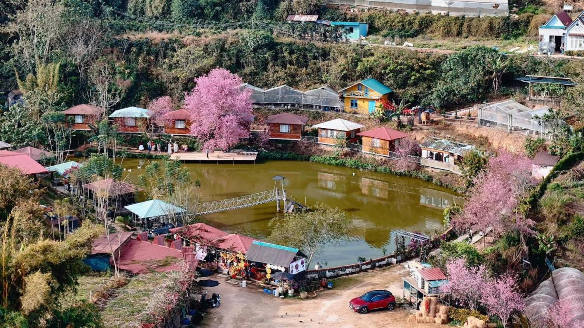 Nha Ben Ho - Da Lat Homestay Εξωτερικό φωτογραφία