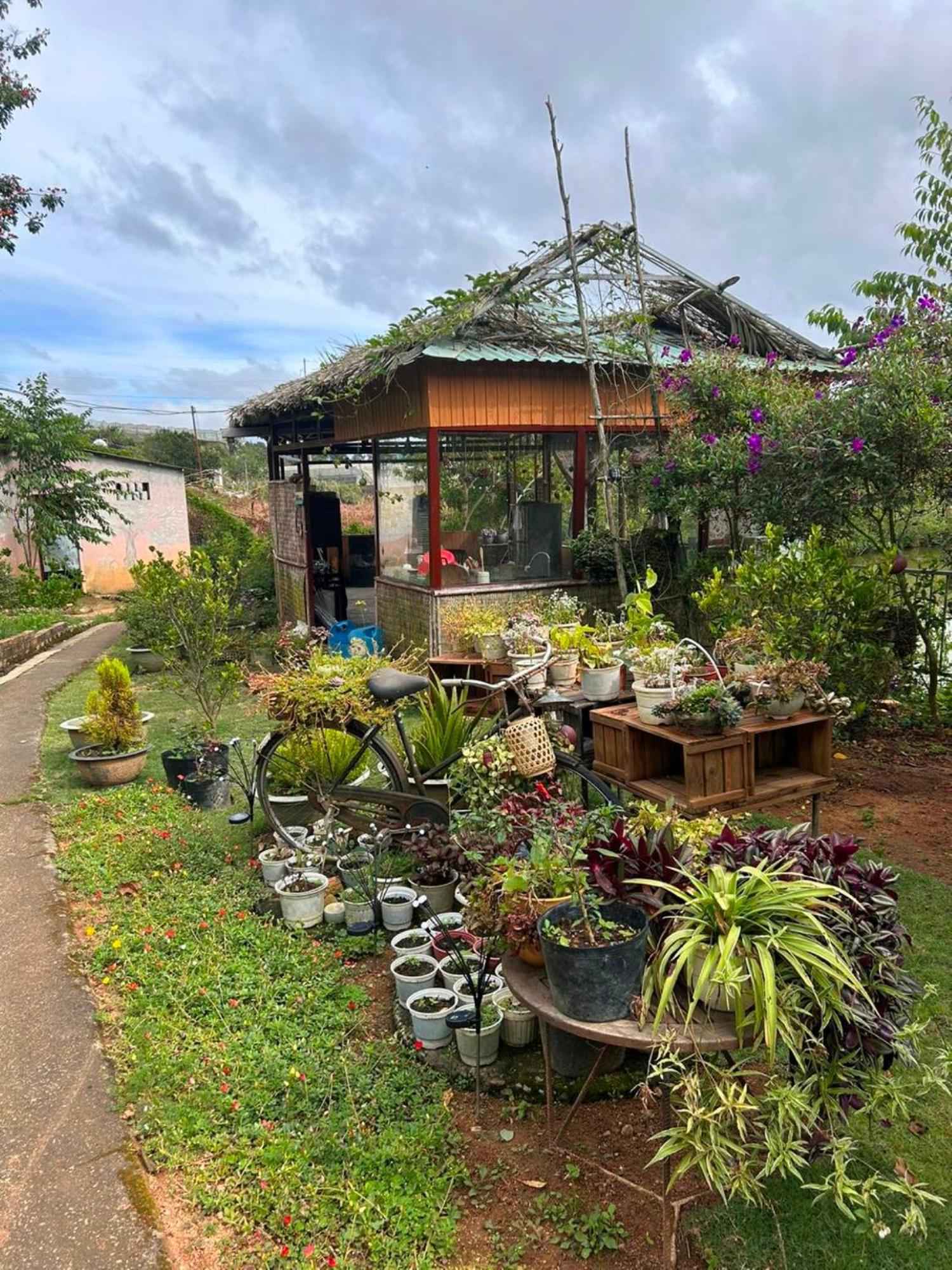 Nha Ben Ho - Da Lat Homestay Εξωτερικό φωτογραφία