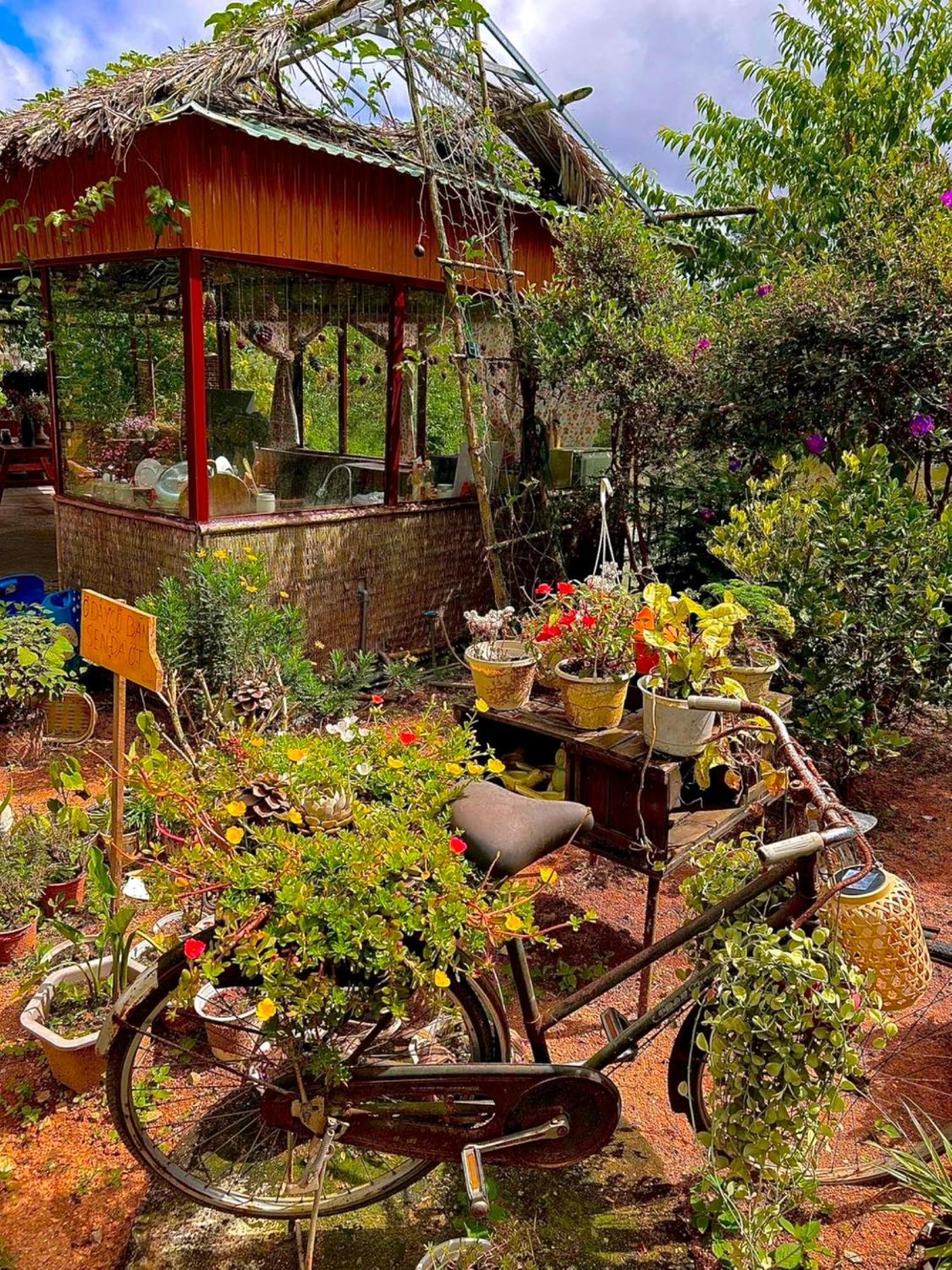 Nha Ben Ho - Da Lat Homestay Εξωτερικό φωτογραφία
