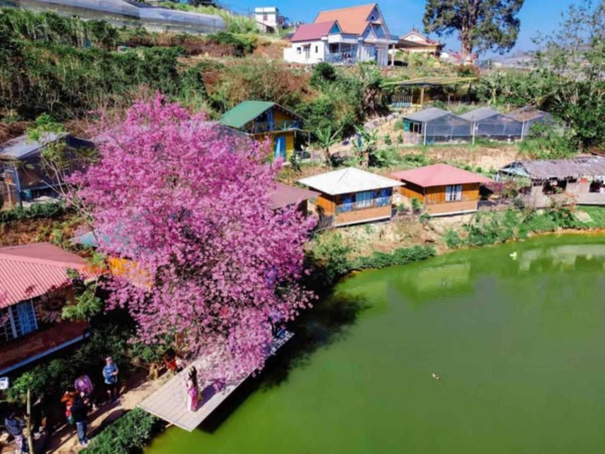 Nha Ben Ho - Da Lat Homestay Εξωτερικό φωτογραφία