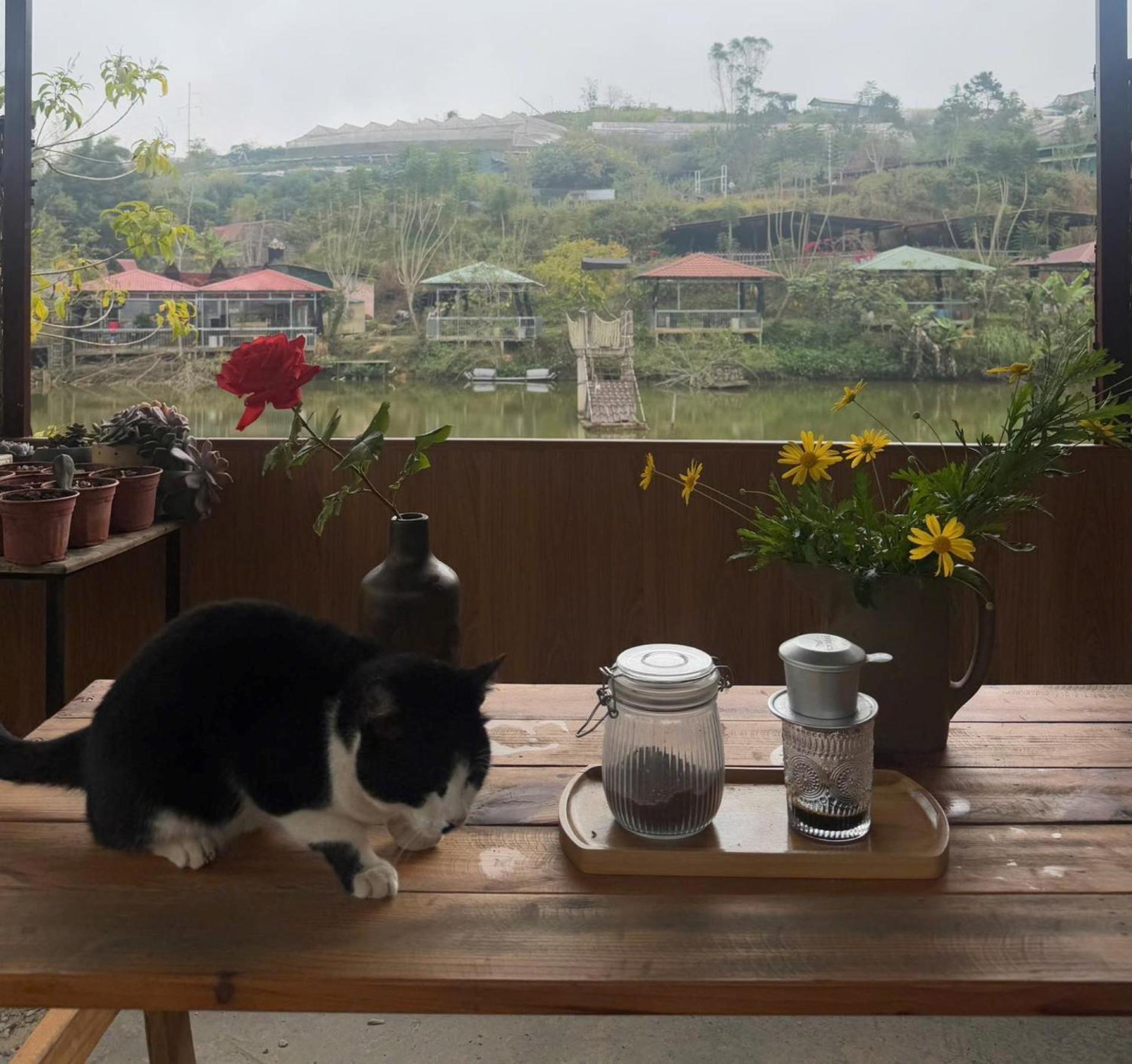 Nha Ben Ho - Da Lat Homestay Εξωτερικό φωτογραφία