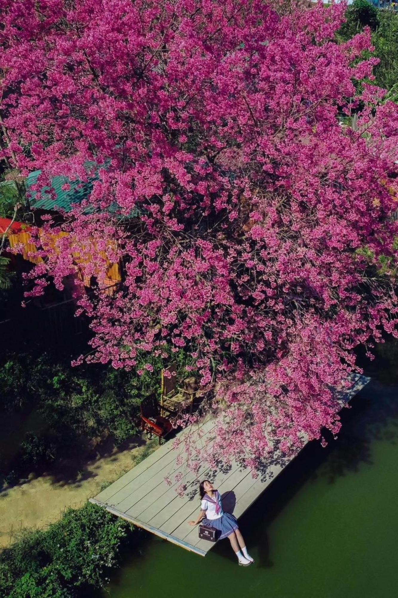 Nha Ben Ho - Da Lat Homestay Εξωτερικό φωτογραφία
