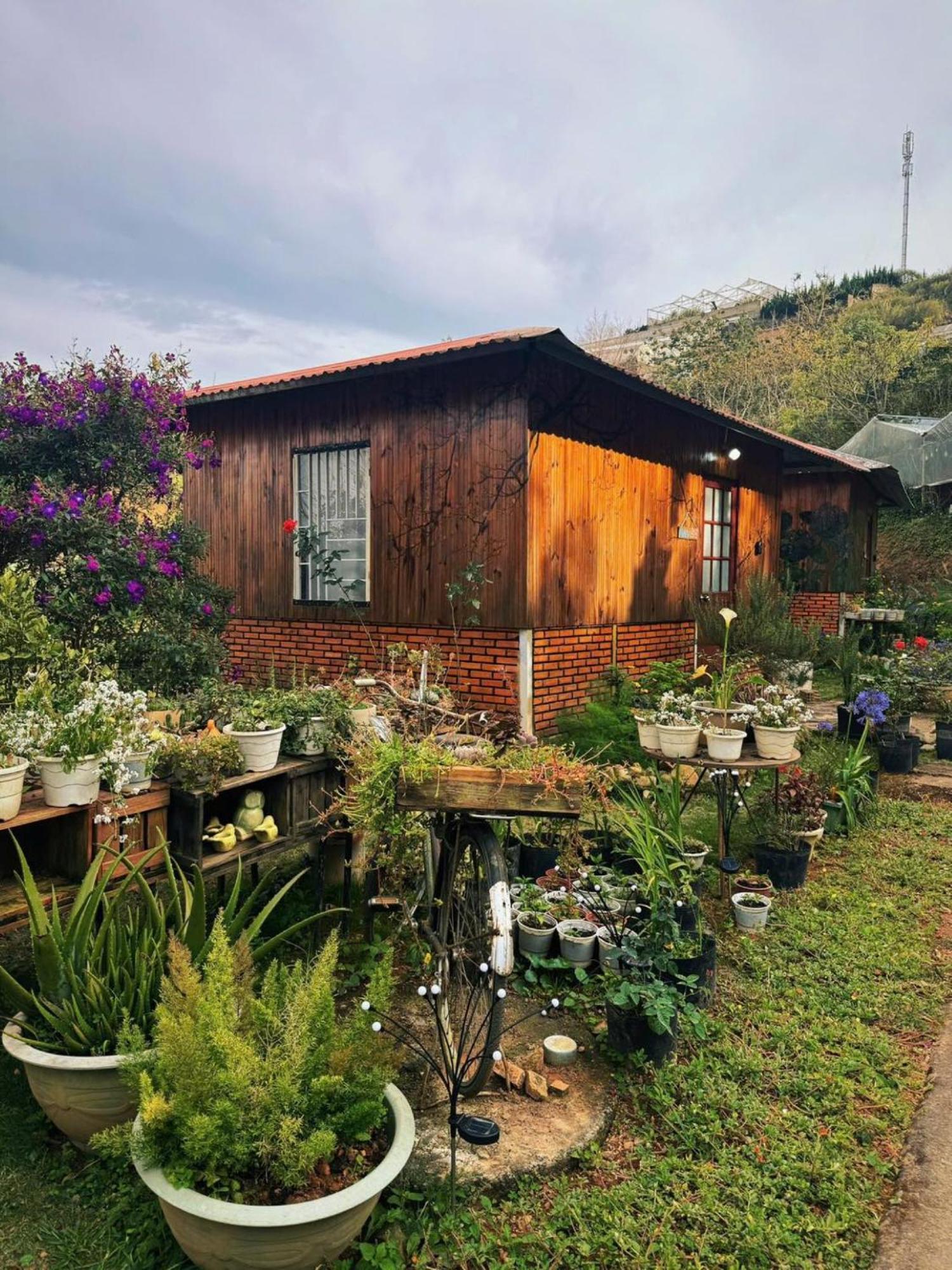 Nha Ben Ho - Da Lat Homestay Εξωτερικό φωτογραφία